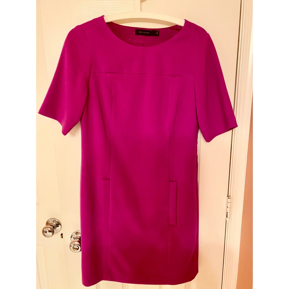 Brand New The Limited Fuchsia Pink Dress